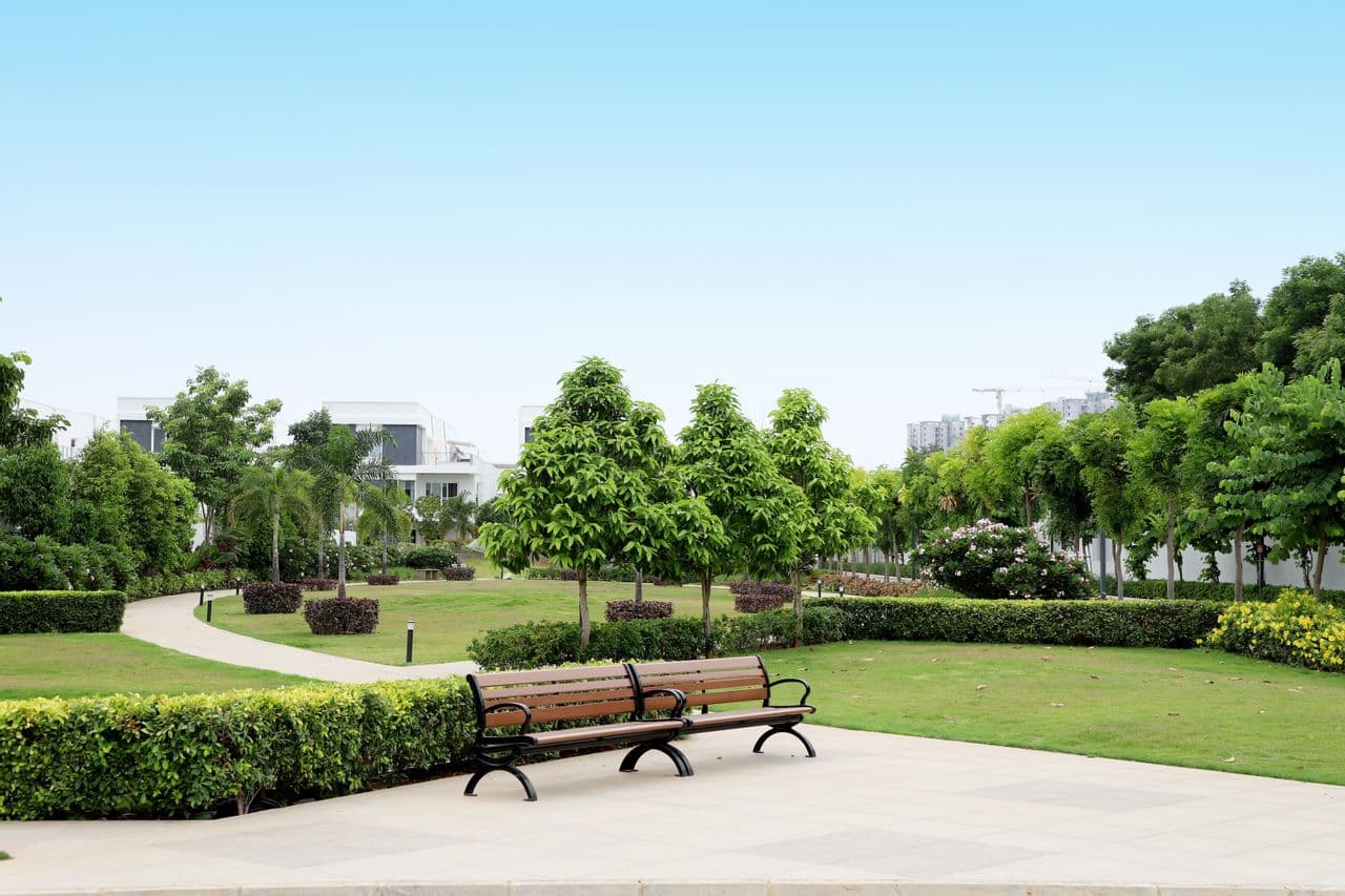People walking, relaxing, and exercising in a green city park